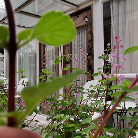 Shenzhen No'6 Garden Villa --French Window With Garden View,Close To Sea World &Shekou Ferry Port &K11 Ecoast &Subway Nearby ,Offer Western Food And Coffee &English Speaking With Tour Services المظهر الخارجي الصورة