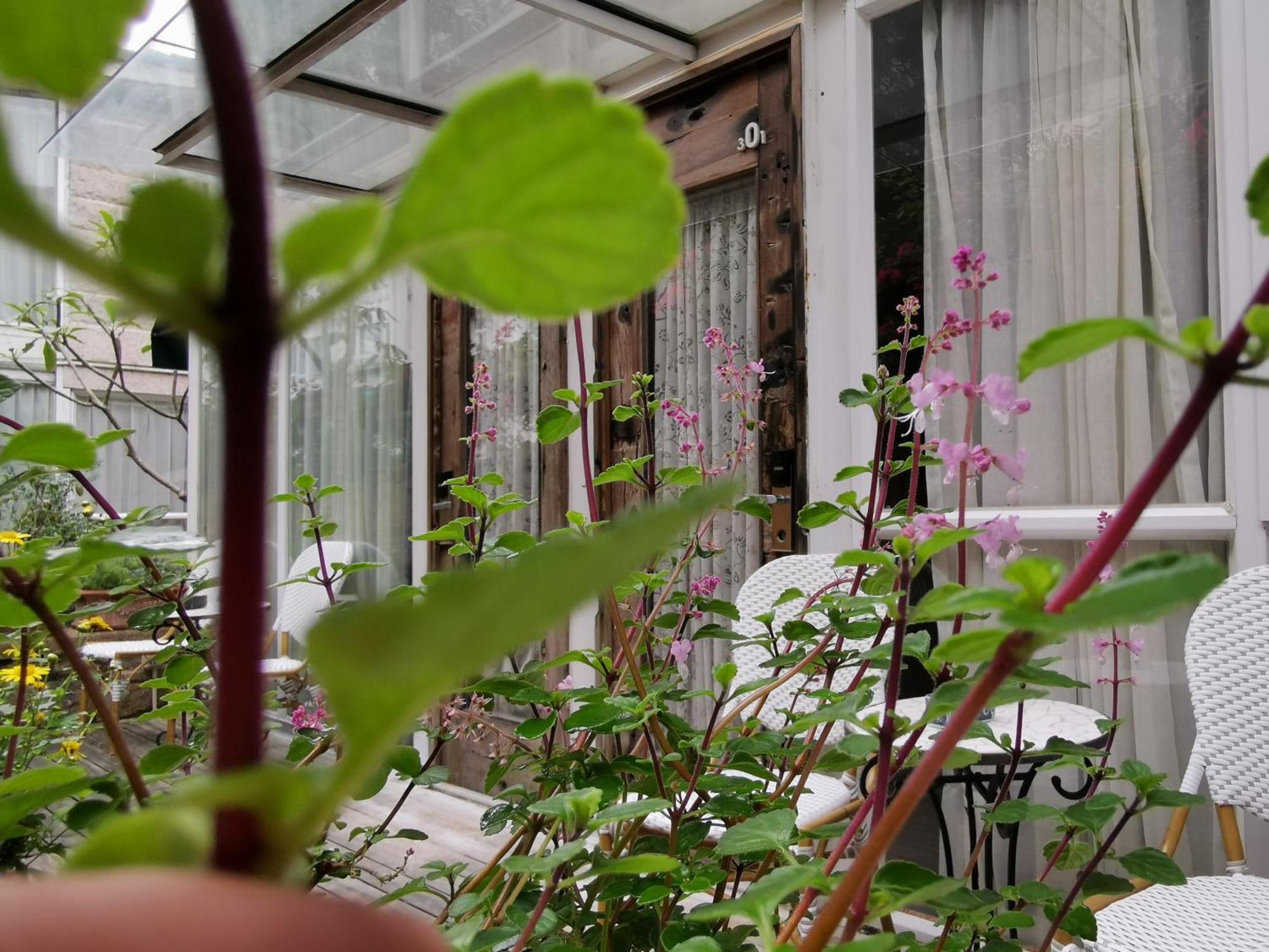 Shenzhen No'6 Garden Villa --French Window With Garden View,Close To Sea World &Shekou Ferry Port &K11 Ecoast &Subway Nearby ,Offer Western Food And Coffee &English Speaking With Tour Services المظهر الخارجي الصورة