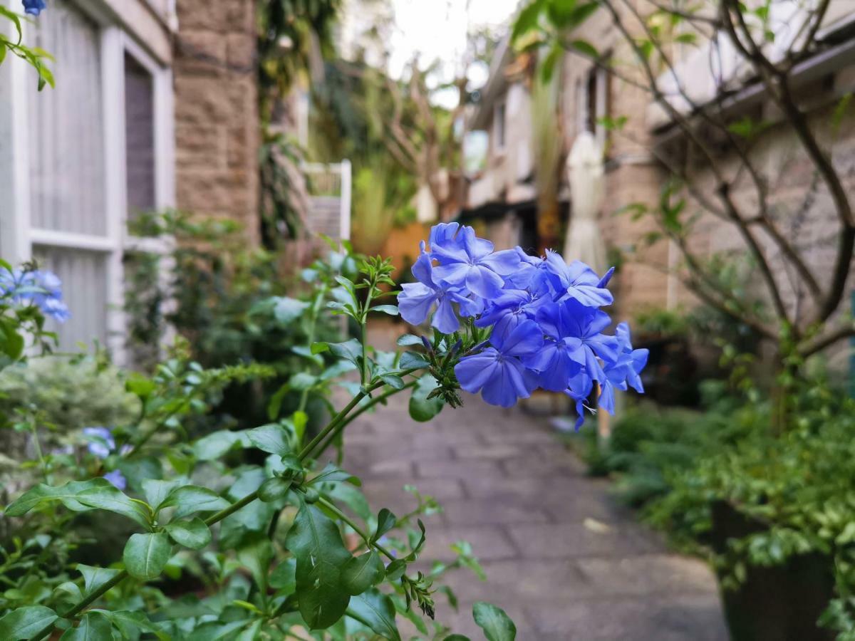 Shenzhen No'6 Garden Villa --French Window With Garden View,Close To Sea World &Shekou Ferry Port &K11 Ecoast &Subway Nearby ,Offer Western Food And Coffee &English Speaking With Tour Services المظهر الخارجي الصورة
